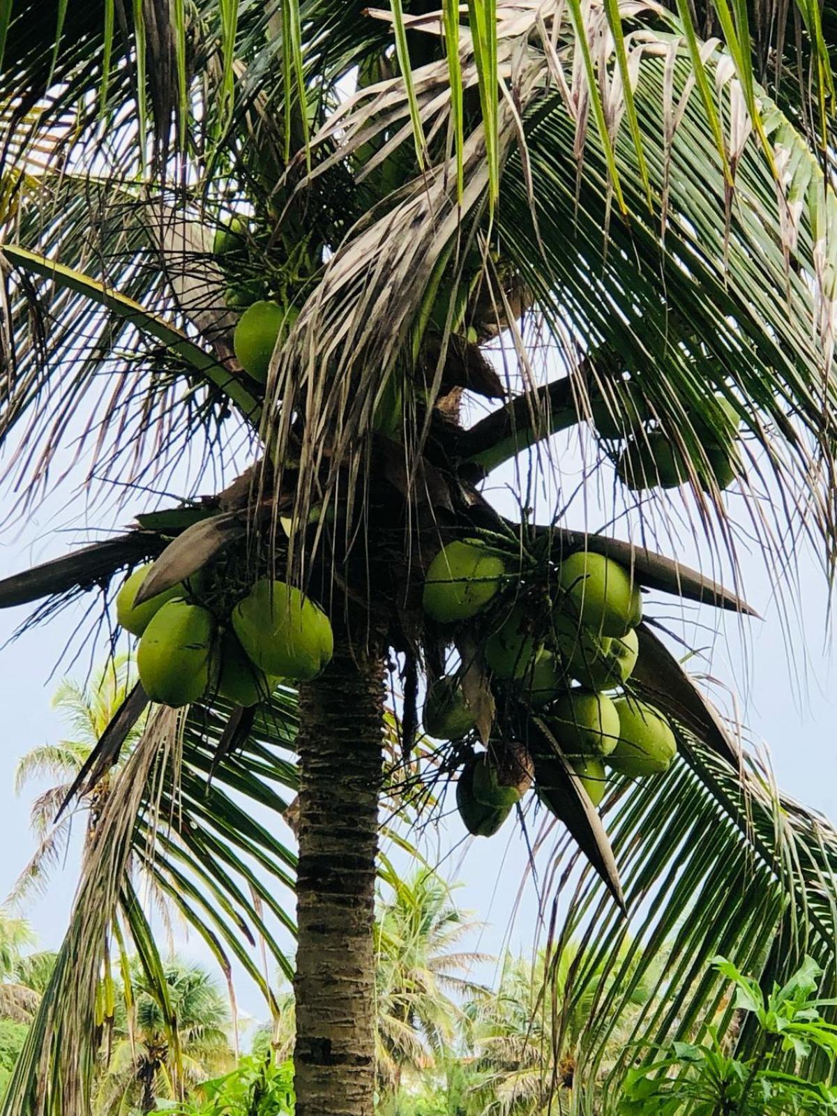 Villa Ava Kite - Guajiru Trairi Exteriér fotografie
