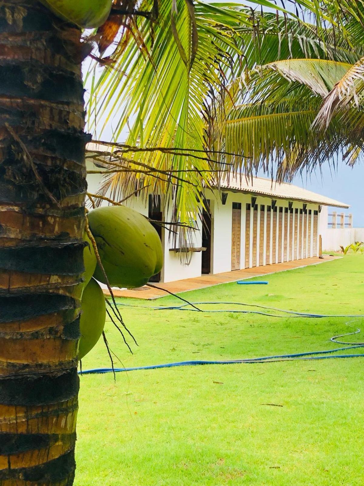 Villa Ava Kite - Guajiru Trairi Exteriér fotografie